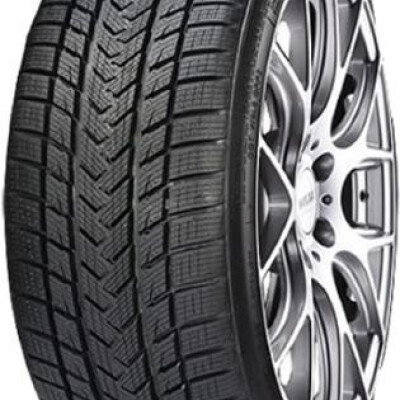 GRIPMAX Suregrip Pro Winter 255/40R18