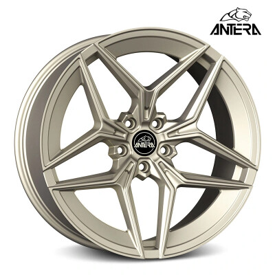 5x112 19x9.5 ET20 Antera A107