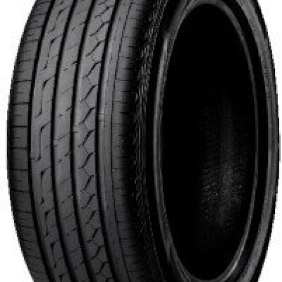 GRIPMAX Stature H/T 300 225/55R19