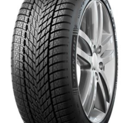 DUNLOP WINTER 255/45R19