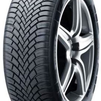 NEXEN WINGUARD SNOW G 3 WH21 205/55R16