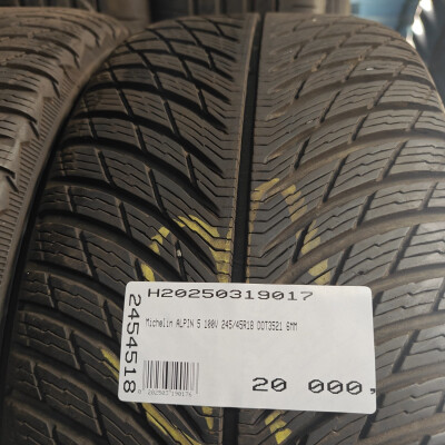 MICHELIN Alpin 5