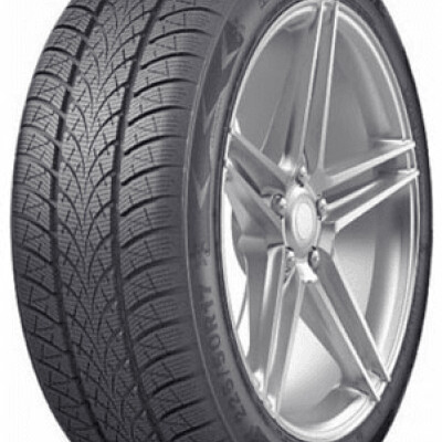 TRIANGLE WinterX TW401 205/60R16