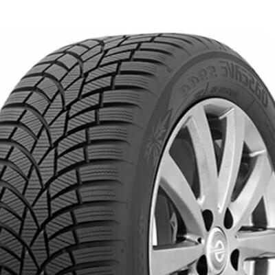 TOYO Observe EWS1 245/35R19