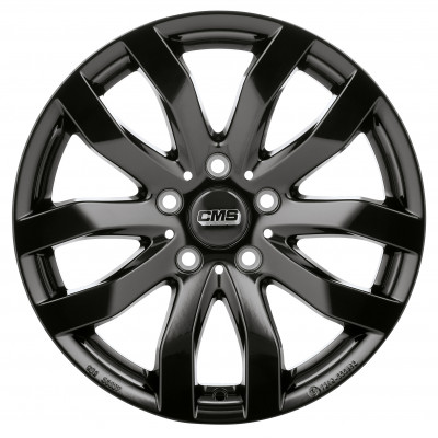 CMS C22 CBG