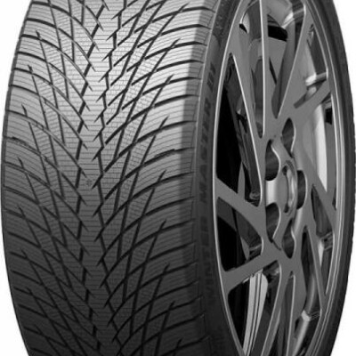 Greentrac WINTER MASTER D1 195/65R15