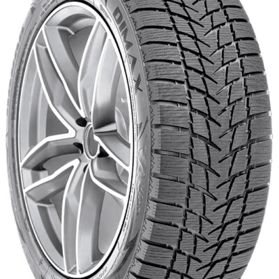 RADAR Dimax Alpine
